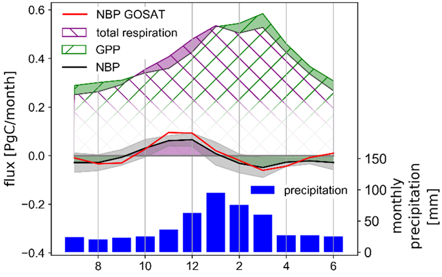 Seasonal variations of carbon fluxes and monthly precipitation from July to June.